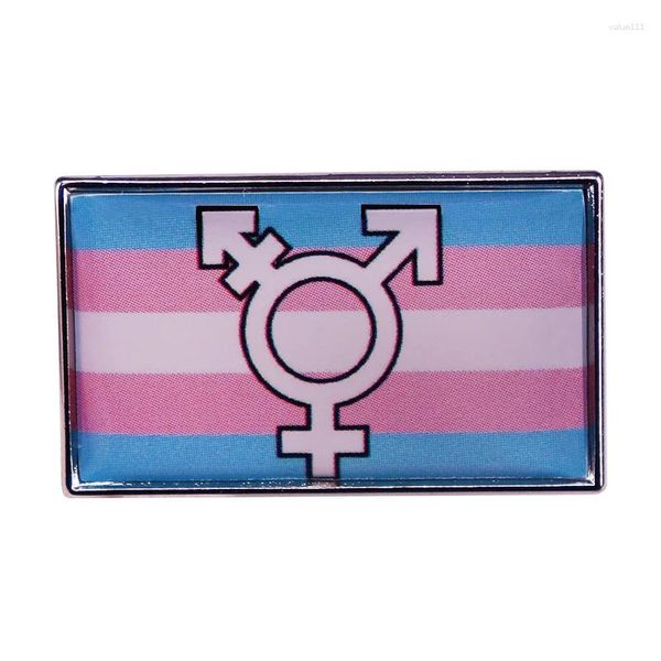 Broches Gay Lésbica Transgênero Símbolo Bandeira dos Direitos Humanos Distintivo