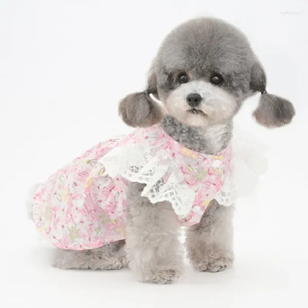 Köpek giyim 2024 yaz elbise küçük kıyafetler sevimli etek kız giyim köpek yavrusu bichon elbiseler kaniş yorti pomeranian kostüm