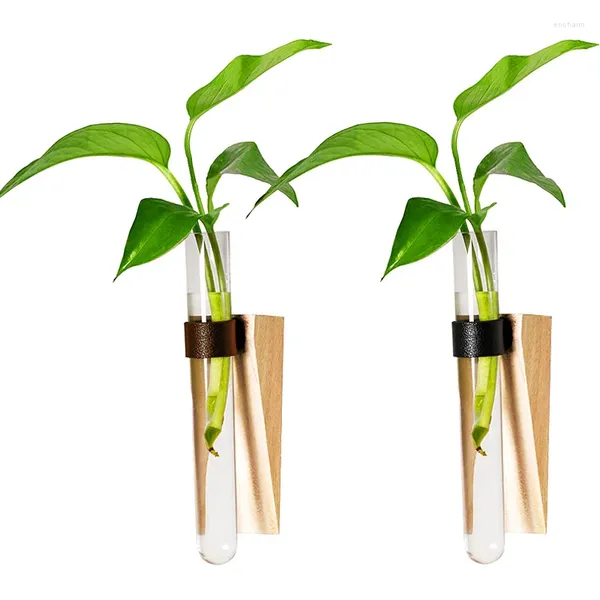 Vazolar Şeffaf Tüp Vazo Ahşap Stand Kendinden Yapışkan Hidroponik Bitkiler Tutucu Test Duvar Dekoru Tesisi Fot Pot Ev