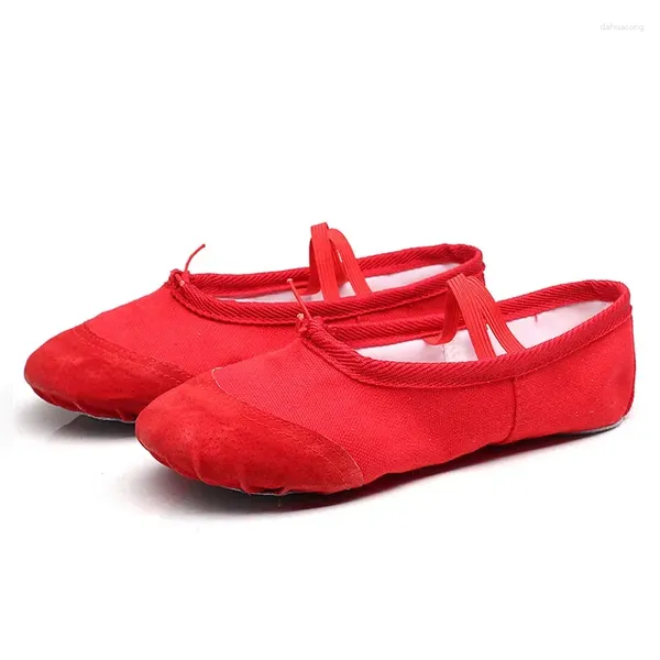 Sapatos casuais comemore crianças prática yoga ginástica para mulheres apartamentos adulto sapato de dança rosa sola macia dança ballet