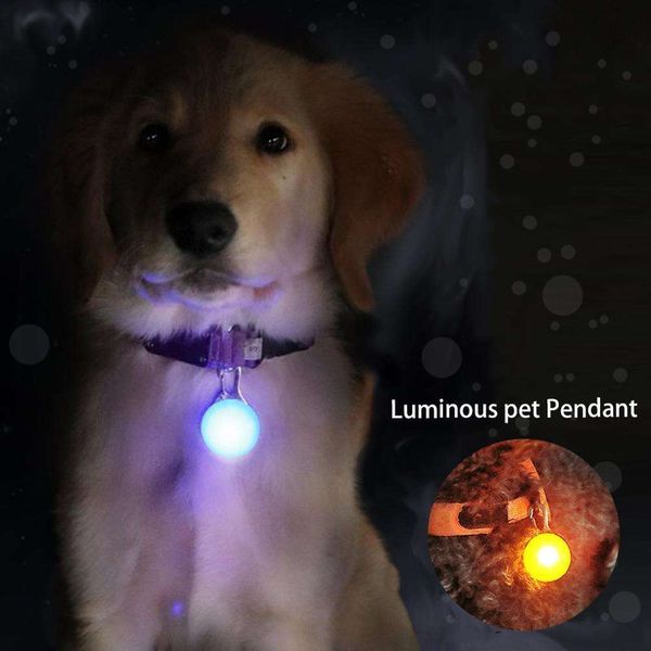 Luci guida per cani con collare per torcia a LED di sicurezza notturna per animali domestici carini