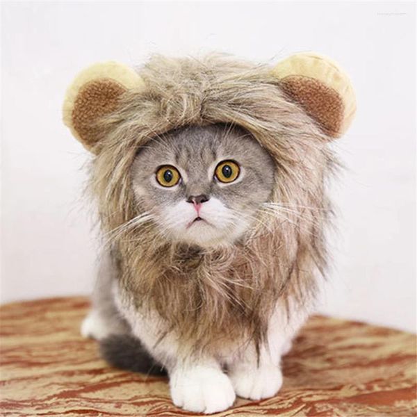 Costumi per gatti Accessori Cosplay Vestiti Costume Chat Divertente Cappello per animali domestici per cani di piccola taglia Vestito con criniera di leone Parrucca per capelli Attività per feste Adorabile