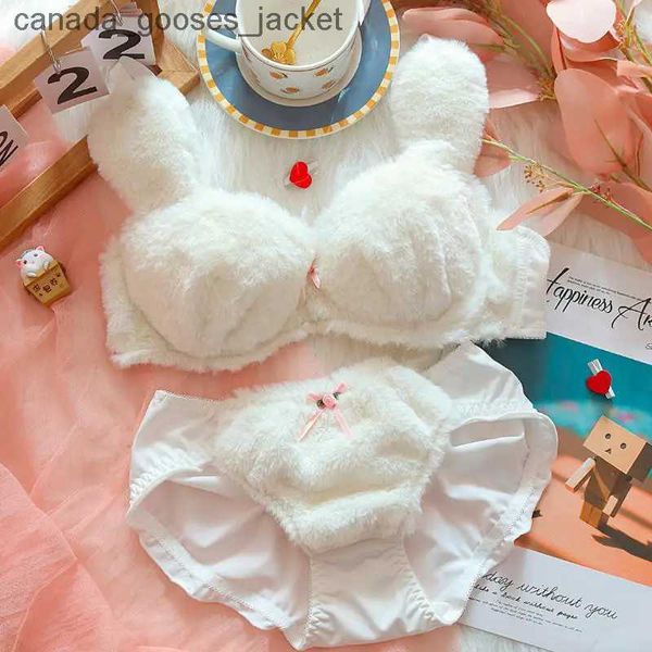 Sutiãs de pelúcia roupa interior para meninas adolescentes tamanho grande fe gato bonito sem anel de aço reunido sutiã conjunto confortável quente linegerie calcinha suiC24318