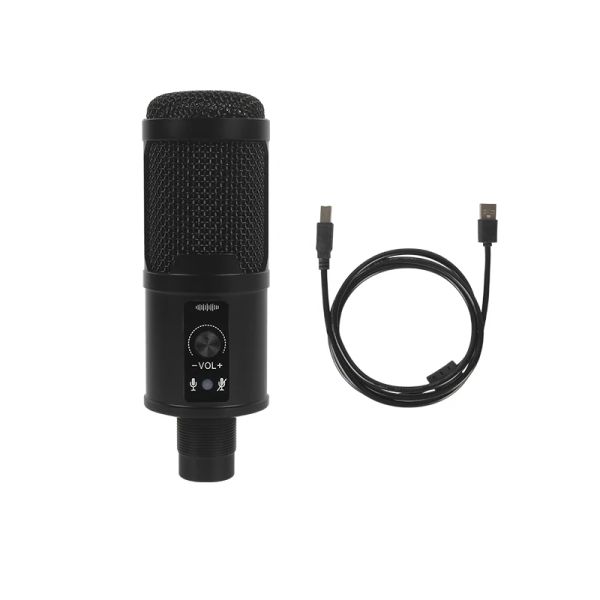 Mikrofonlar BM65 Kayıt RGB Kondenser iPhone Android Dizüstü Bilgisayar İçin Mikrofon Bilgisayar Profesyonel USB MIC EARLOP Game Live PK BM800