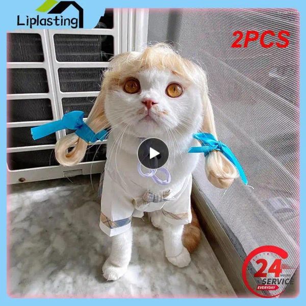 Trajes de gato 2 pcs perucas para animais de estimação cosplay adereços cão cross-dressing conjunto de cabelo pogal cabeça engraçada acessórios prank suprimentos