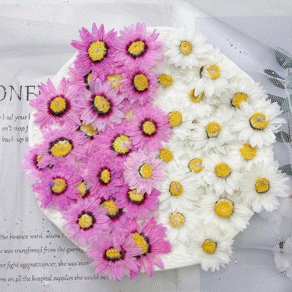 Fiori decorativi 120 pezzi pressati essiccati Helipterum Manglesii fiore erbario per resina epossidica creazione di gioielli segnalibro viso trucco nail art