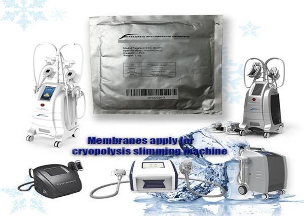 cuscinetti di raffreddamento membrana antize criogenica per macchina ze fat gel antize pad modello ETGIII1003169504