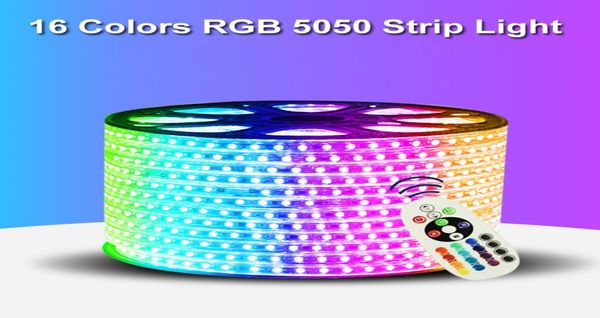 110V 220V LED Şerit 5050 50m 100m IP65 Su Geçirmez RGB Çift Renk Halat Aydınlatma Dış mekan için RF uzaktan kumandalı stokta 8212529