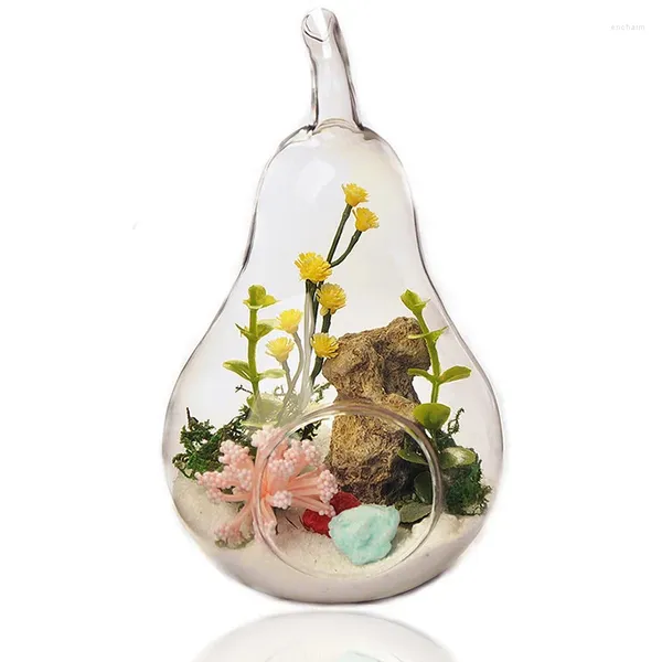 Vasen Kreative niedliche Mini-Glasvase Pflanze Hydrokultur Terrarium Kunst Tisch Handwerk DIY Flasche