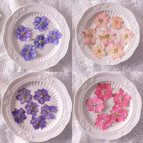 Flores decorativas 12 peças flores secas reais prensadas gaura lindheimeri material faça você mesmo vela de resina capas de telefone artesanato acessórios de arte