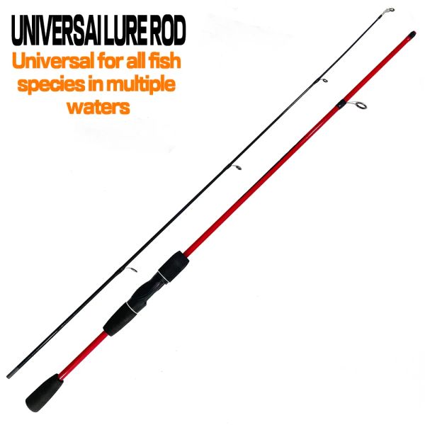 Canne da pesca Canne da pesca Spinning/Casting in carbonio 2 sezioni per fiume Lago Serbatoio Stagno Flusso Luce Gioco Jig Canna da pesca a traina