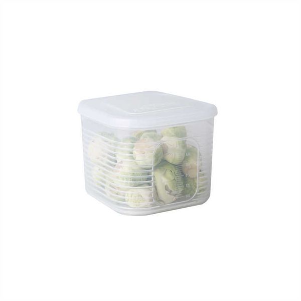 HBP Set di scatole di plastica per zenzero fresco senza marca Accessori da cucina Articoli per la casa Scatola di immagazzinaggio di cipolla e aglio Scatola di immagazzinaggio di frutta trasparente per frigorifero