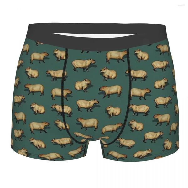 Cuecas Capybara Hydrochoerus Hydrochaeris Animal Roedores Bonitos em Calcinha Escura Teal Homem Cueca Shorts Boxer Briefs