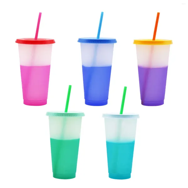 Copos de mudança de cor de tumblers 5 pcs acrílico colorido reutilizável com tampas e canudos de plástico em massa de Natal água fria