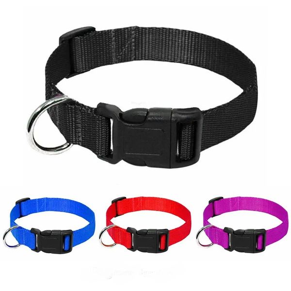 Collari per cani in nylon a 4 colori Fibbia a sgancio rapido Hardware resistente fatto a mano Colori solidi classici Collare per animali di design morbido regolabile LL