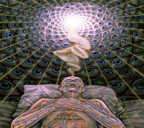 Плакат 32x24quot 17x13quot Trippy Alex Grey настенный плакат с принтом домашнего декора настенные наклейки плакат Decal0401340447