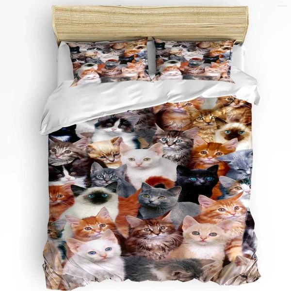 Set di biancheria da letto Animale multicolore Gatto stampato Comfort Copripiumino Federa Tessili per la casa Trapunta Ragazzo Bambino Ragazza adolescente Set 3 pezzi