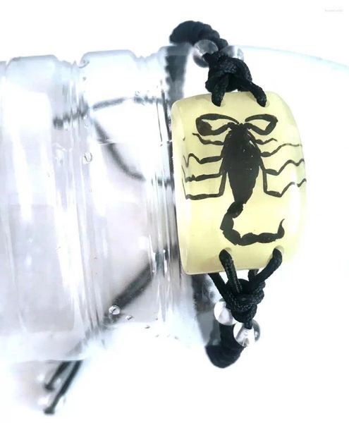Strand, 12 шт., браслет из настоящего черного скорпиона, светящийся в темноте, очаровательный браслет