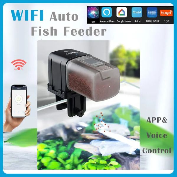 Ilonda Wifi Fish Feeder Organo Smart Control Acquario Serbatoio Dispositivo di alimentazione automatica Temporizzazione Attrezzatura da pesca Accessori Carpa 240314