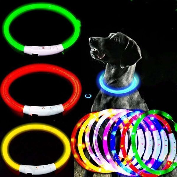 Collare per cani luminoso a LED con ricarica USB per animali domestici