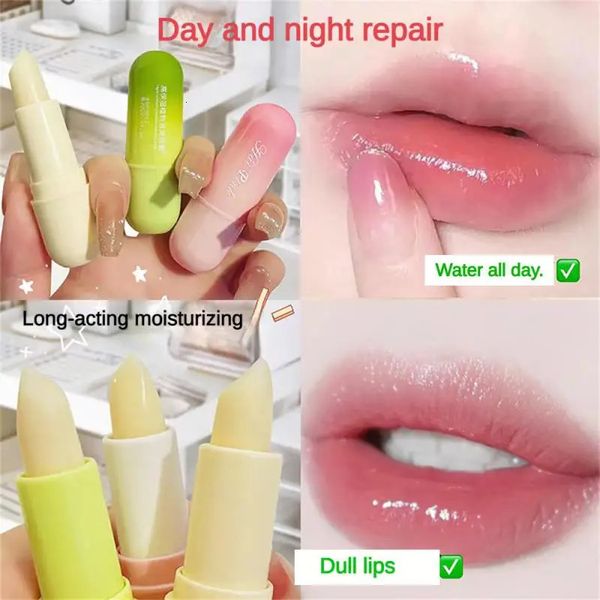 3 renk dudak balsamı nemlendirme antik atlama doğal uzun ömürlü lipbalm besleme ruj kore kozmetikleri 1pcs 240311