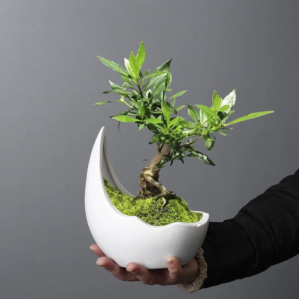 Rinoceronte chifre forma cerâmica vaso de flores verde planta pote suculento plantador cactus bonsai pote flor recipiente decoração para casa 240311