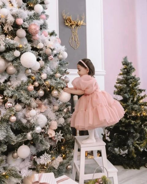 Vestito da ragazza di fiori carino Tulle maniche a palloncino gonfi Semplici abiti formali Principessa bambino Primi abiti da festa di compleanno eucaristico 240312