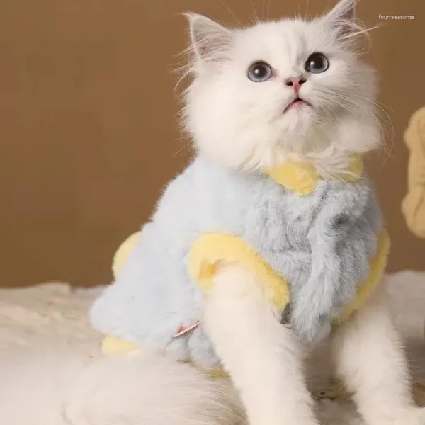 Cão vestuário céu azul casaco de pelúcia roupas contraste cor doce hairball cauda roupas gato bonito grosso quente inverno traje produtos para animais de estimação