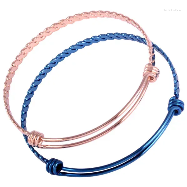 Bracciale IJB0273 150 pezzi Braccialetti con cablaggio regolabile espandibile in acciaio inossidabile Twist Creazione di gioielli (5 colori)