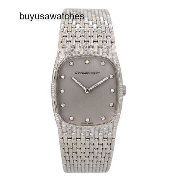 Minimalist zarif AP bileği saat 18K Platin Ölçeği Diamond Set Moda Manuel Mekanik Kadınlar İzle Lüks Saat İsviçre İzle Highend