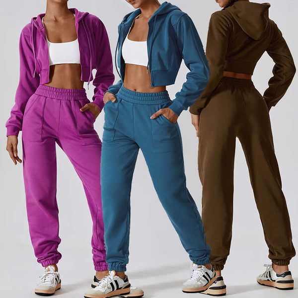 Großhandel Blank Damen Baumwolle Reißverschluss Crop Top Hoodies Jogger Jogginghose 2 Stück Lounge Sets Trainingsanzug für Frauen