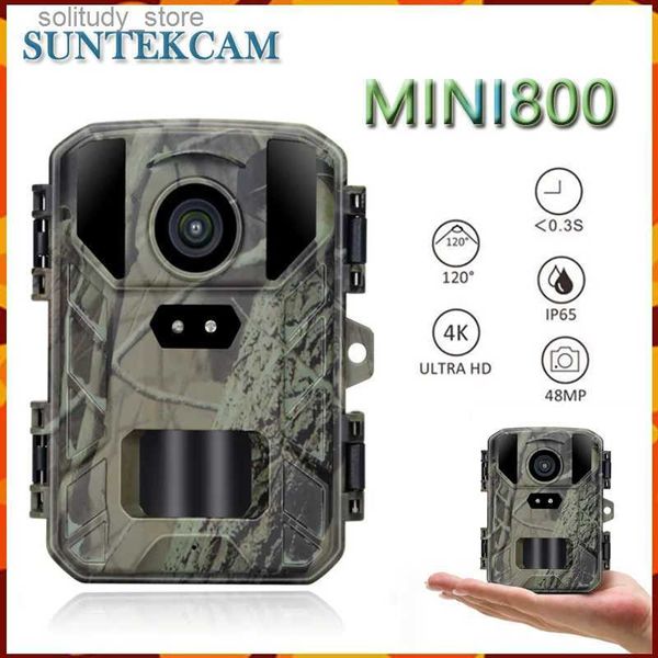 Telecamere da caccia da caccia Nuova Mini800 Telecamera da caccia da caccia 48MP 4K Telecamera da esterno a infrarossi per scarsa illuminazione Telecamera per ricognizione della fauna selvatica Visione notturna Impermeabile Q240321