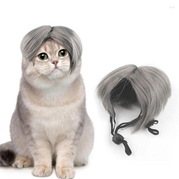 Kedi Kostümleri Köpek Cospal Props Bob Wigs Pet Headdress Hediye Parti Malzemeleri Yavru Kafa Süsleri Yavru Kedi