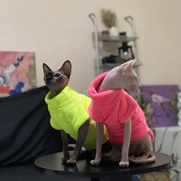 Cappotto invernale confortevole per gatti Sphynx Cappotto con cappuccio per gatti per abbigliamento per animali Abbigliamento carino Camicia per gatti senza peli Fornitore di animali domestici 240322