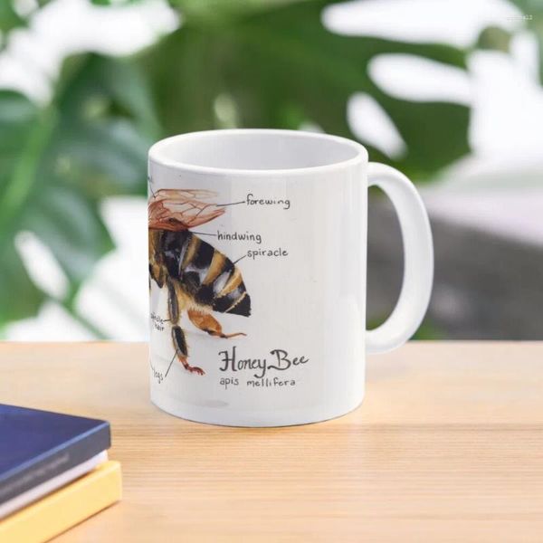 Canecas Honey Bee Anatomy Chart Caneca de café Óculos frios e térmicos para copos cerâmicos criativos