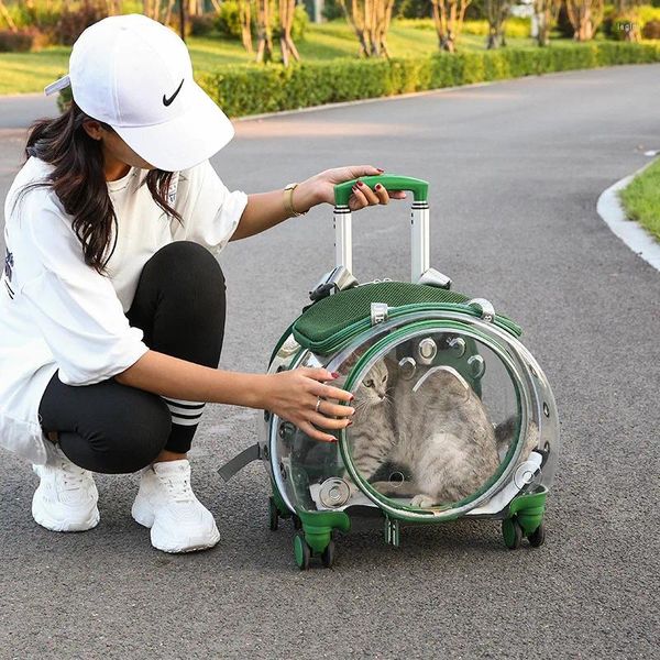 Mochila para bagagem de animais de estimação ao ar livre portátil respirável para cães pequenos ou cães