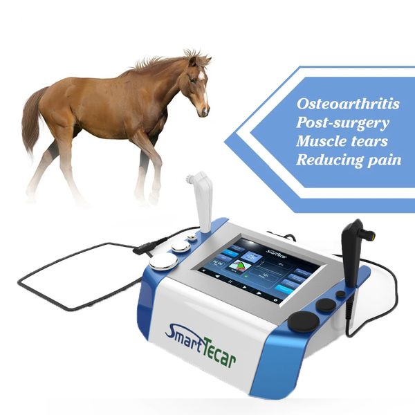 Tecar portatile per la terapia termica del cavallo RET CET Tecar Vet Attrezzatura per la riabilitazione equina per alleviare il dolore degli animali