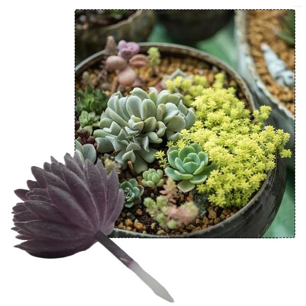 Fiori decorativi Plastica artificiale Pianta grassa Cactus Echeveria Fiore Home Office Decor Regalo Arte Ornamento fai da te Decorazione della stanza