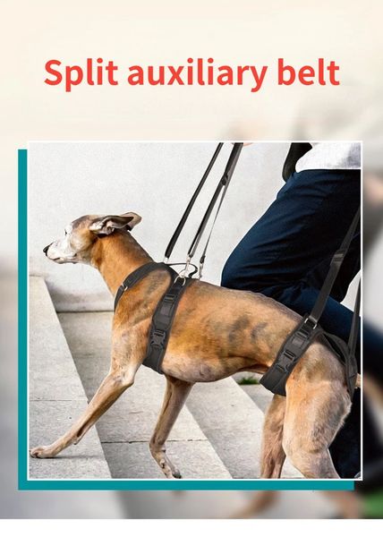 Collare per cani regolabile con imbracatura per cani, tracolla per zampe posteriori, supporto per fianchi, assistenza per animali domestici e cinghia di sollevamento per cani riabilitativa adattiva 240322