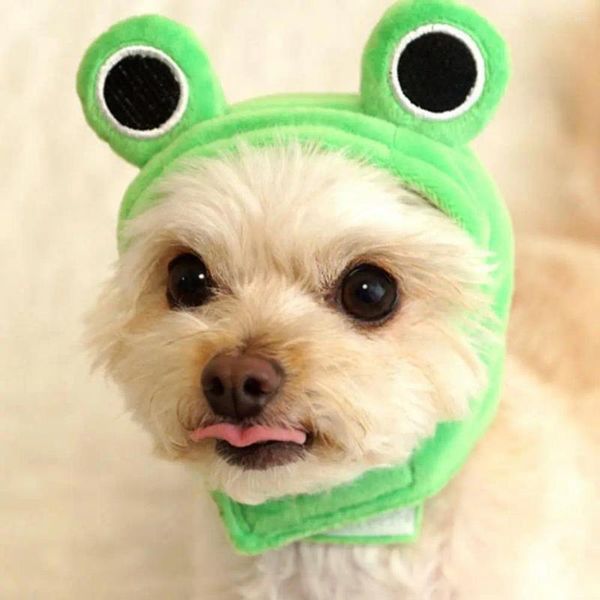 Hundebekleidung Weicher Haustierhut Plüschfrosch Kopfbedeckung Verschlussband Modeaccessoire für Partys Cosplay Neuheit Cartoon Po Requisiten Urlaub