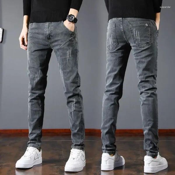 Jeans masculinos coreano fino moda tendência cinza calças retas elásticas pequenas pernas verão versátil roupas de lazer