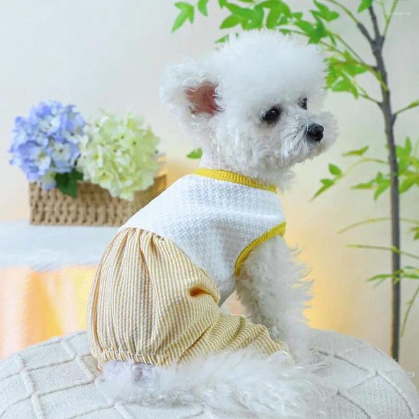 Abbigliamento per cani Abiti alti per animali domestici Tuta elegante color block Tuta comoda simpatico costume piccolo girocollo per animali domestici