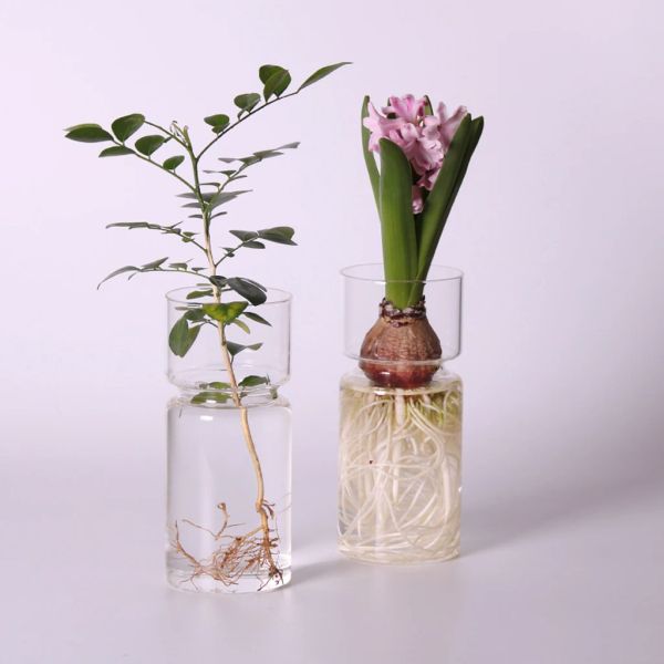 Vasos Clear Glass Hyacinth Vaso Transparente Flor Planta Garrafa Pote DIY Ornamentos Casa Sala de estar Decoração de jardim Decorações de mesa 15cm