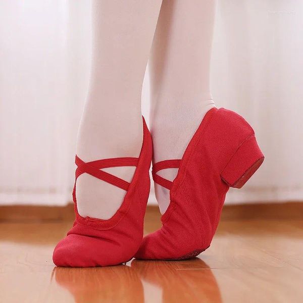 Танцевальная обувь Зеленый телесный красный Черный Джазовые ботинки из плотной ткани Zapatillas Hombre Zapatos Mujer Низкие кеды