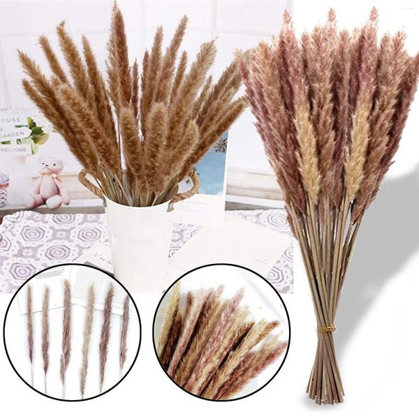 Dekoratif Çiçekler 30 PCS Kabarık Pampas Düğün Ramazan Dekorasyon Yemek Ev Masası Dekor Aksesuarları Yapay Bitkiler