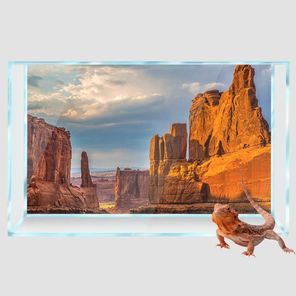 Декор Рептилия Хабитат Фон Красный Рок Пустыня 3D HD Печать Обои Аквариум Фон Украшения ПВХ Пейзаж Плакат