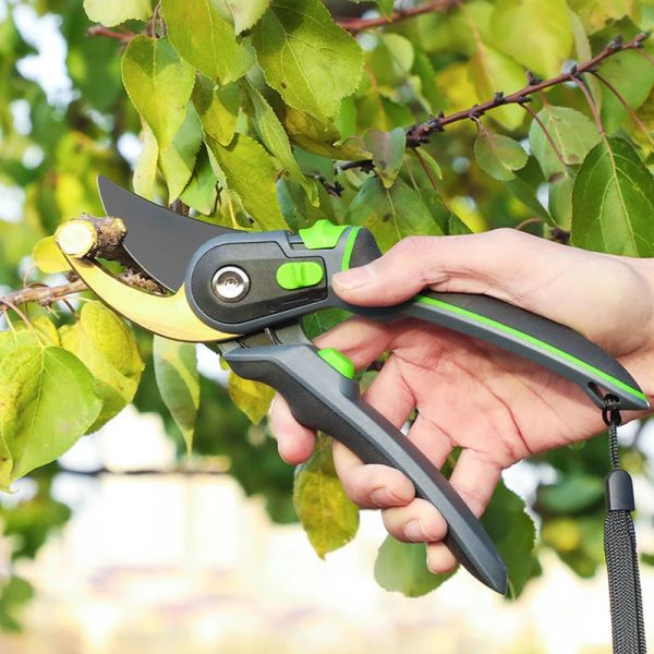 Ferramentas sk5 tesoura de poda jardinagem tesoura ferramentas de jardim doméstico tesouras de aço inoxidável ramos ásperos afiada e resistente ao desgaste
