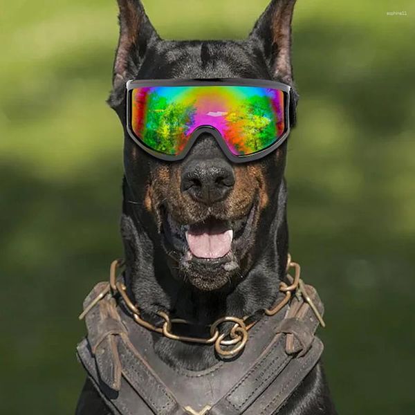 Abbigliamento per cani Occhiali da sole con protezione UV Occhiali da moto con lenti curve per cosplay di esercizi di tensione all'aperto di medie e grandi dimensioni