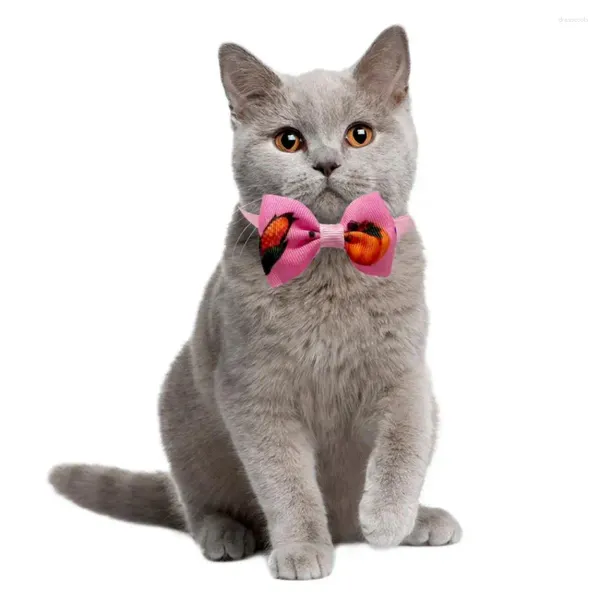 Köpek Giyim 1 PCS Şükran Günü Eşsiz Göz Alma Festival Kedi ve Bow Ties Türkiye Serisi Dekorasyonlar Olması Gereken Pet Kravat