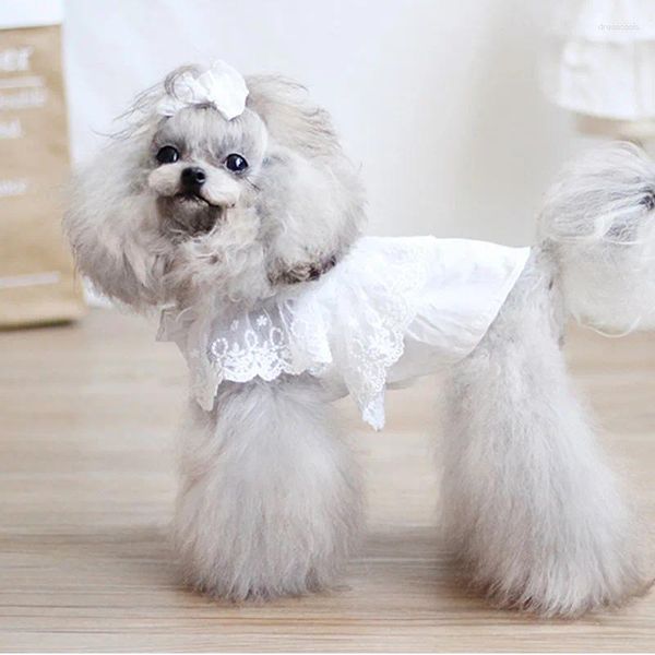 Abbigliamento per cani Vestiti estivi sottili per animali domestici Moda semplice in cotone bianco verde abito da principessa coreana per gonne di barboncino Yorkshire di piccole dimensioni